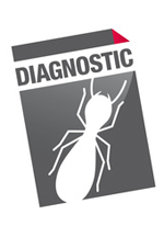 diagnostic immobilier